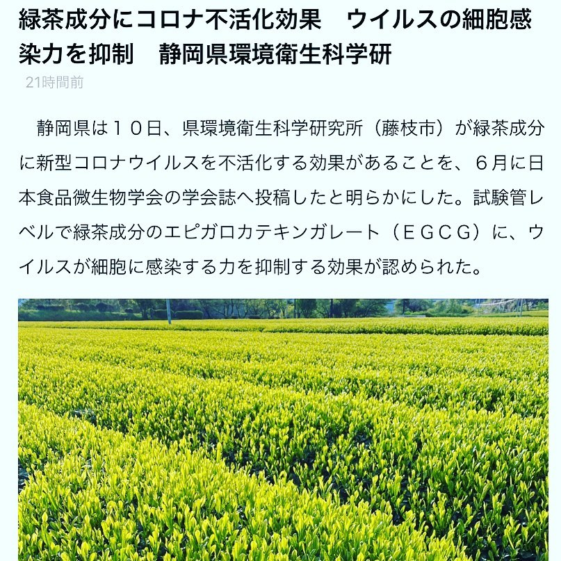 https://www.at-s.com/sp/news/article/shizuoka/943294.html2021年8月11日の記事です！元々美味しくて健康的な緑茶に新たな健康的なエビデンスが加わりました！「良薬口に苦し」とは、このことを言っていたのですね！( ◠‿◠ )