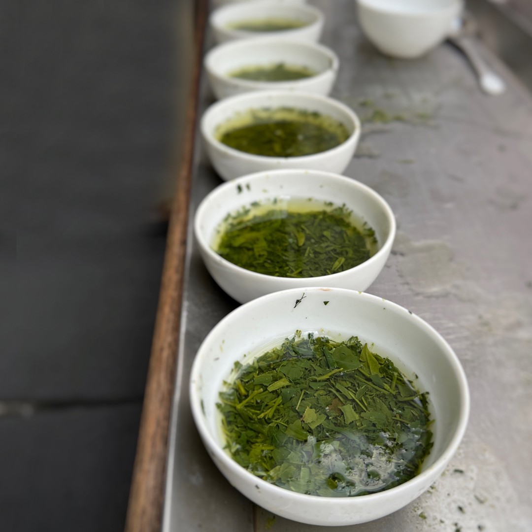 今回も鹿児島から茶柱ニュースをお届けします！！現在進行形で毎日、新茶のテイスティングを行っています！※詳細写真付きは当園の202204022の後藤の茶柱ニュースをご覧ください！https://syunpou.com/blogs/diary/20220414毎日、新茶は摘まれて、荒茶という摘んで乾燥させた茶葉で鹿児島茶市場に入ってきます。ちなみに本日、2022年4月14日は約1300点の新茶が茶市場に入ってきております。鹿児島茶市場は自動化されており、1300点でもどんどん茶葉が並び、その茶葉を入札茶商の皆様が物凄いスピードでテイスティングしていきます。私、後藤は全体の茶葉の状況、そして畑を回った状況を見ながら、当園のお客様が喜ぶ地域や生産家の新茶をテイスティングしていきます。今年は温かい日と雨の日が繰り返されているので、その影響がどのように新茶に現れるのを判断しながらテイスティングしています！拝見盆という茶葉がのるお盆で茶葉自体の判断をして、下の写真のように拝見茶碗に茶葉を同じ量を入れて、熱い熱湯を入れて茶葉を特徴を判断してきます。どのお茶も美味しいのですが、当園のお客様が一番喜ぶ茶葉を創造していくのが私のテイスティングの価値になります！！その中から、当園のお客様が喜ぶ品質の新茶をさらに厳選し、最終的には急須で抽出してテイスティングします！2018年に動画をまとめたものがあります。こちらもぜひ見ていただけると、どのように当園のお茶ができているのかよくわかると思います。※当園の202204022の後藤の茶柱ニュースをご覧ください！仕入れまだまだ続きます。だんだん同じような写真ばかりになってきました（苦笑）が、これを毎日、ど真剣に繰り返して、美味しい新茶を皆様にお届けするためにがんばります！！一番おすすめの限定新茶予約をしていただけると厳選新茶で特別価格でお届けできるのでご予約されるのをおすすめします！！******ハッシュタグ