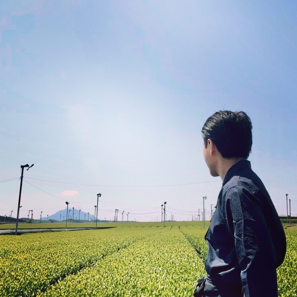 まだ鹿児島新茶の仕入れは続きますが、産地の仲間にお願いして、横浜へ戻り、新茶予約の準備や静岡の新茶の仕入れ準備を進めていきます！引き続き発信していきますので、ぜひ店主後藤の新茶仕入れの旅をお楽しみください！！******ハッシュタグ