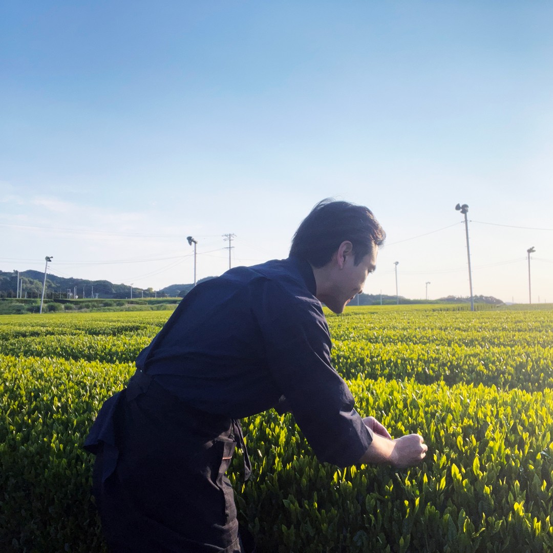 本日から限定新茶の第二弾のお渡しがスタートしましたが、多くのお客様にお越しいただき、新茶の力を感じています！新茶のお話をする中で、「入れ方によって本当に全然違う」とか「上手にいれることができない」なんてお話もいただきました。本当にその通りで、体調によっても味わいが変わったりします。昨日美味しかったのに、今日は味が薄く感じたりするのです。だからひたすらテイスティングすることで、すこしでも「いつでも美味しいお茶」として感じていただける新茶を目指します！
