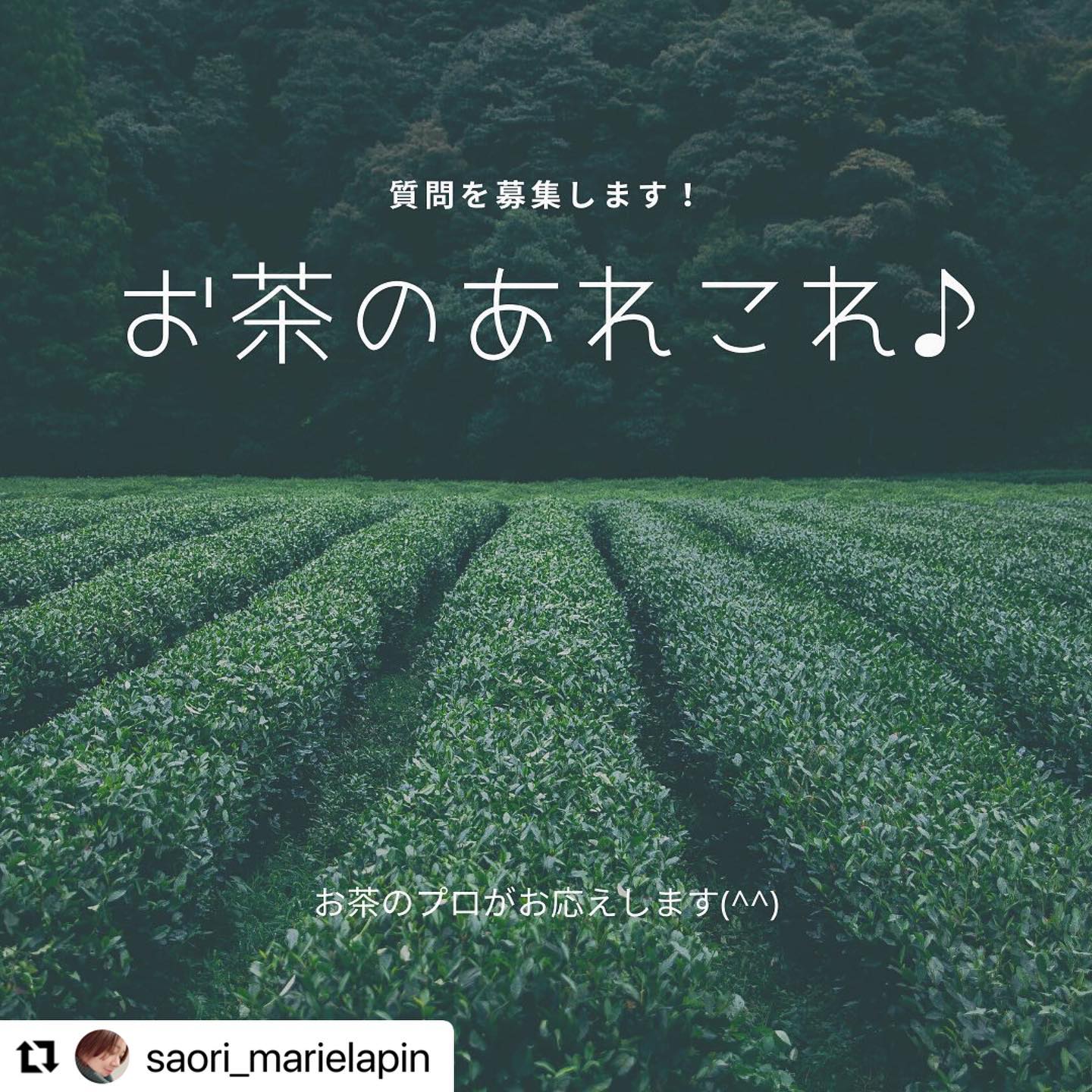 @saori_marielapin さんと一緒に皆様から日本茶に関しての素朴な質問やお茶初心者すぎて聞きづらいことなどをお答えしたいと考えております！コメントでもDMでも大丈夫ですどうぞ宜しくお願い申し上げます＃春芳茶園＃しゅんぽうカフェ＃質問箱＃質問募集＃お茶のある暮らし＃日本茶のある暮らし