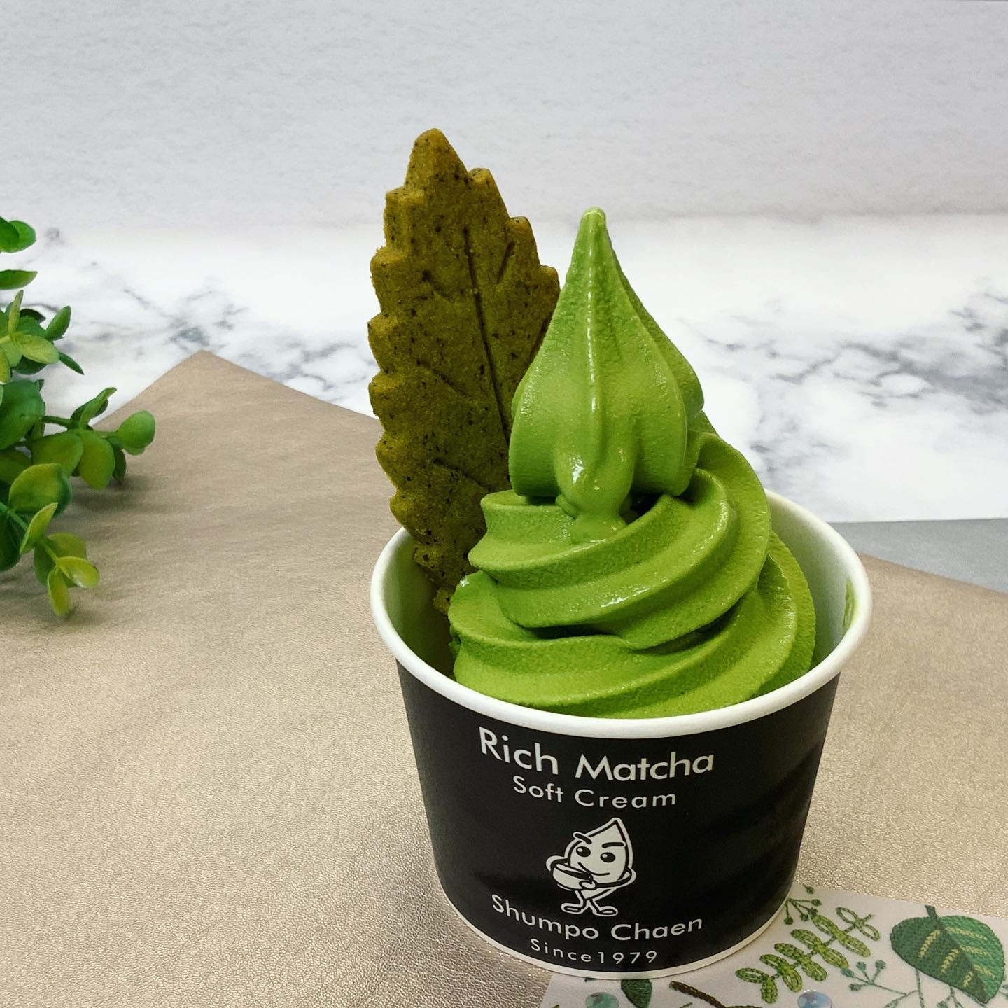 寒くたってやっぱりみんなアイスが好きなんですしゅんぽうカフェ人気の抹茶ソフト三兄弟️を、ご紹介です・濃厚抹茶ソフトカフェ人気No. 1人気お菓子の茶々クッキーとの相性も抜群︎・あんみつパフェボリューム満点︎寒天とソフトクリームに、黒みつをたっぷりかければ幸せな美味しさ・抹茶フロート誰もが驚くビックな大きさ︎ソフトの下は、茶道用抹茶を使った本格アイス抹茶になっています。週末は特にしゅんぽうカフェ大人気です❣️そのままのお渡しですが、テイクアウトも出来ますのでぜひご利用ください！