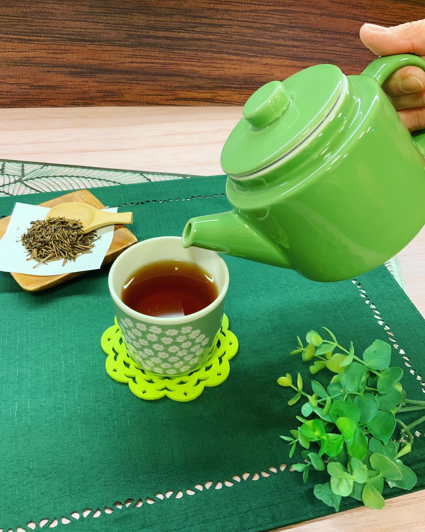 春色ポットで人気のいりたてほうじ茶を淹れました🫖ちょっと大きめなポットに、熱〜いお湯をたっぷり注いで、しっかりと濃く抽出。注がれたほうじ茶はとっても香ばしいかおりがします香り高い湯気も楽しみながら…熱いのでゆっくりと冷ましてお飲みください♪これからの少し暖かい時期には、氷をたっぷりと入れてから熱々のほうじ茶を注ぐとすぐに冷たいほうじ茶も楽しめますぜひ、当店自慢のほうじ茶をお楽しみ下さい︎
