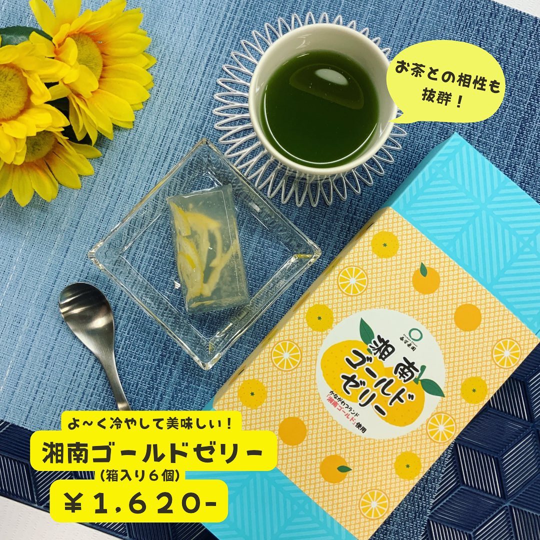 夏限定︎『湘南ゴールドゼリー』お土産に贈り物、おやつにも大人気ですぷるっと弾力のあるゼリーに、湘南ゴールドの皮がアクセントで入っています。手軽に食べられて、お茶との相性も抜群です♪期間限定ですのでぜひお試しください☆
