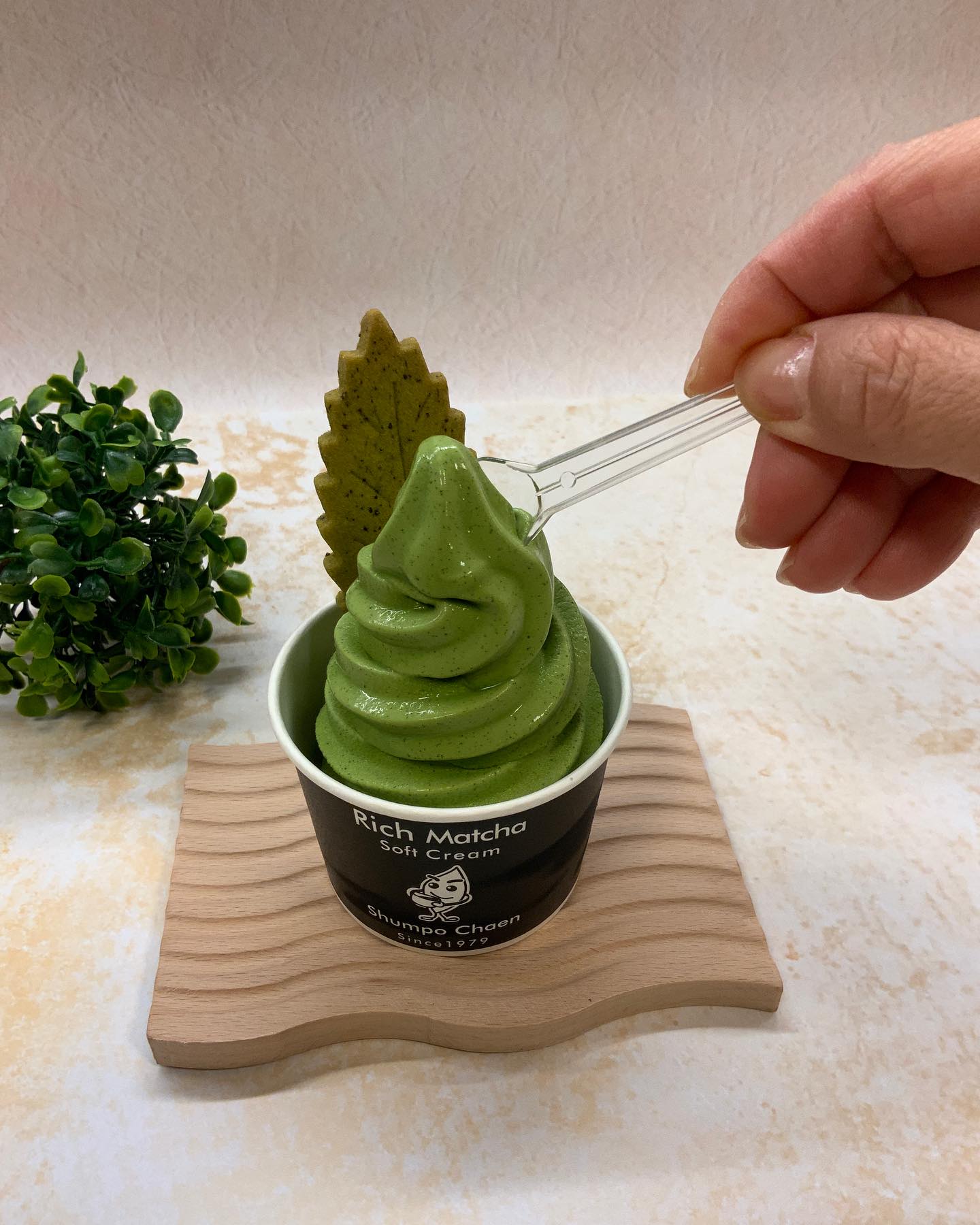 寒くてもつい食べたくなっちゃうソフトクリームしゅんぽうカフェで、本格濃厚抹茶ソフトが味わえます。かわいいオリジナルカップに、緑濃いソフトクリームと、人気お菓子の茶々クッキーをトッピング︎ソフトクリームを堪能したら、茶々クッキーにソフトクリームをたっぷり付けて召し上がって頂くのもオススメですぜひ、しゅんぽうカフェご利用下さい︎